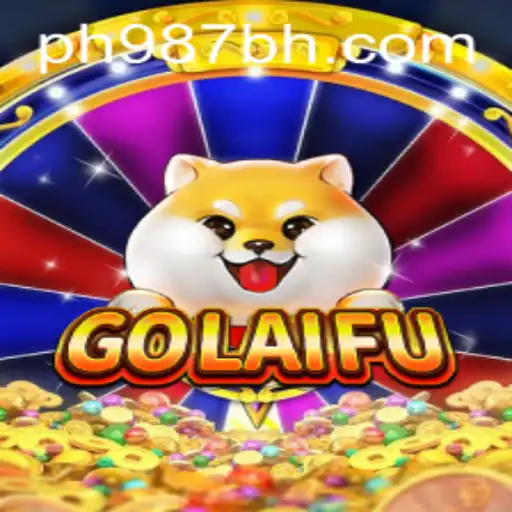 GoLaiFu: An In-Depth Look at the Game Dynamics and Features